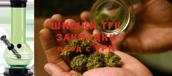 эйфоретик Аркадак