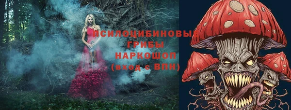 прущий лед Арсеньев