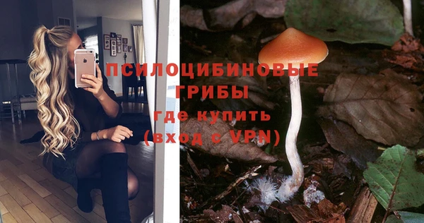 эйфоретик Аркадак