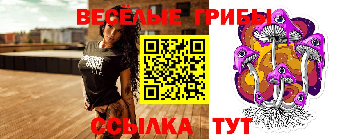 Псилоцибиновые грибы прущие грибы Чистополь