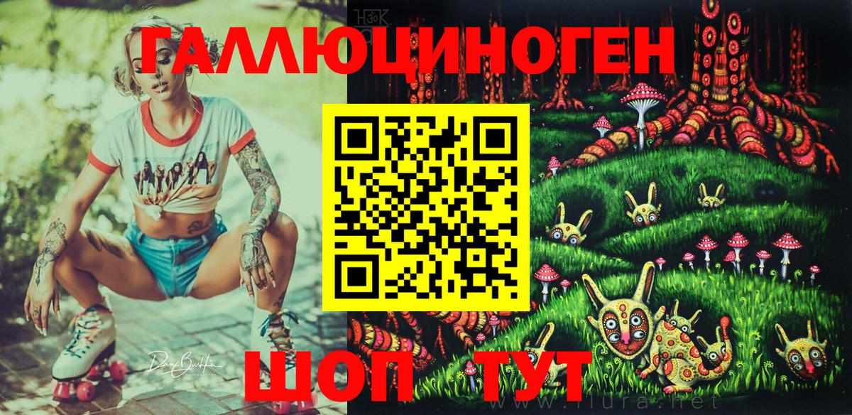 Чистополь  наркотики  Вход с VPN  Псилоцибиновые грибы GOLDEN TEACHER 