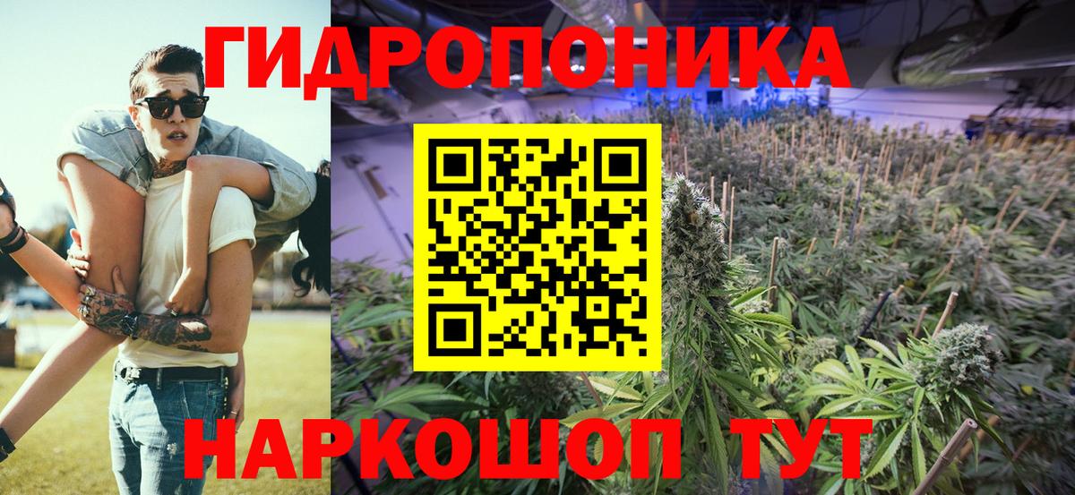 Каннабис Bruce Banner  Вход с VPN  Марихуана план  Канабис SATIVA & INDICA  Бошки Шишки планчик  Чистополь 